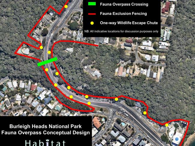 Fauna overpass. Light Rail expansion