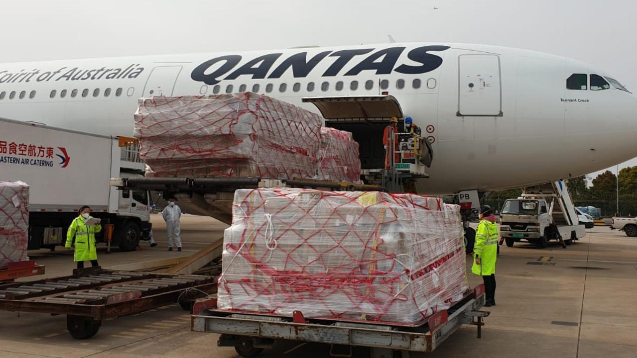 Qantas best sale freight animals