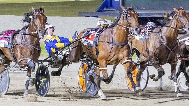 Swayzee (yellow and dark blue) is chasing a lucrative bonus when he contests the Albury Murray Cup on Friday night. Picture: Stuart McCormick