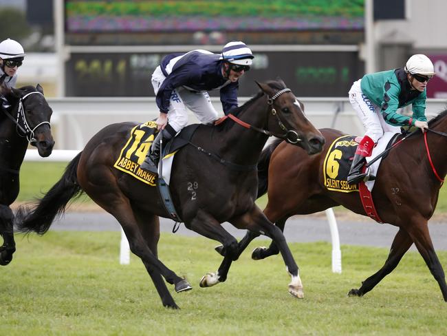 Abbey Marie and Luke Nolen combine to win the Australasian Oaks. Picture: Dean Martin