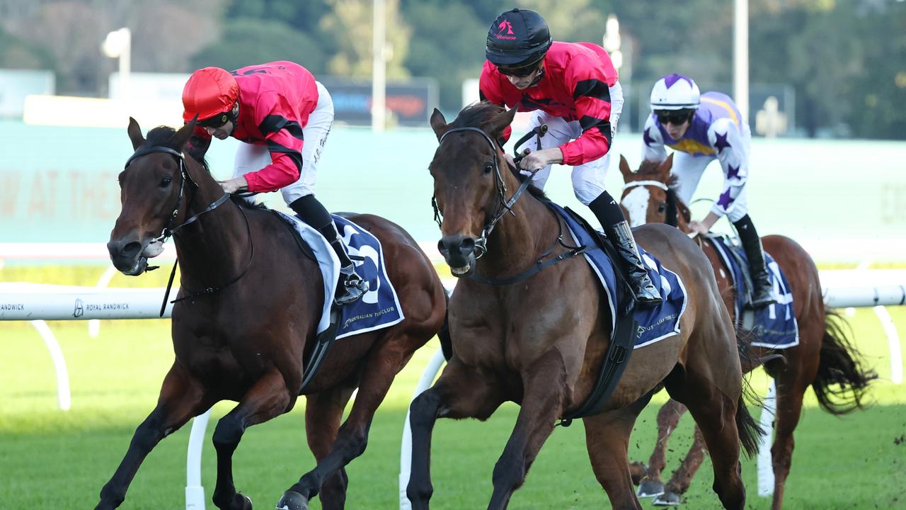 Punters in a ‘Daze’ as import causes a boilover