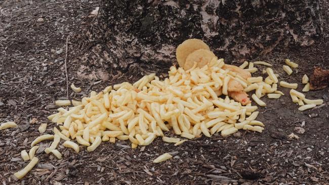 WTF: A discarded serving of fish, chips and potato cakes at Torquay.