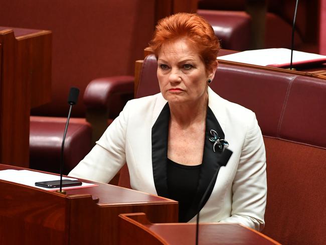 One Nation leader Senator Pauline Hanson is facing attacks in the Senate. Picture: AAP