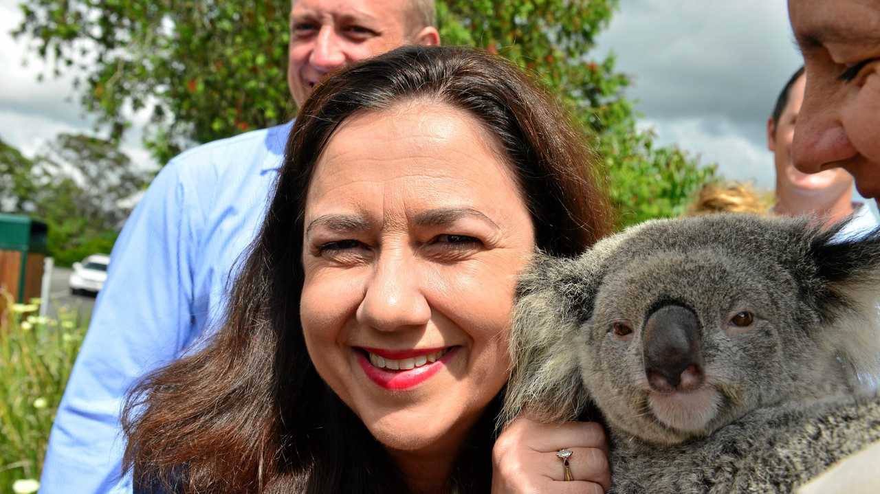 Annastacia Palaszczuk will lead the Labor Party to victory in the state election, tips Bill Hoffman. Picture: John McCutcheon