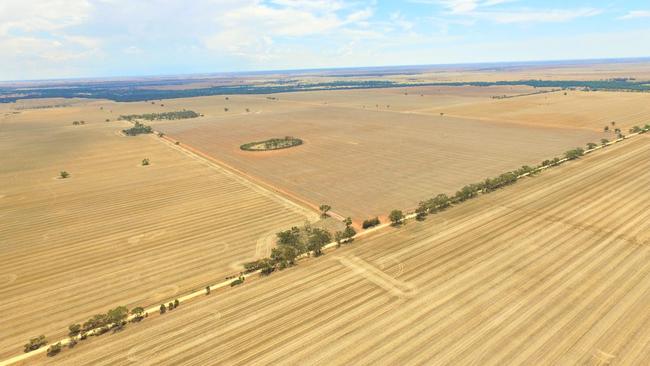 Budgerum East cropping property at 123 Fenton Ln.