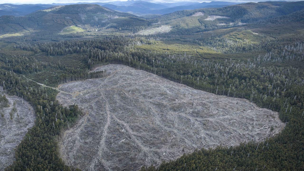 Aerial view of a logging coupe in Southern Tasmania. Picture: Supplied