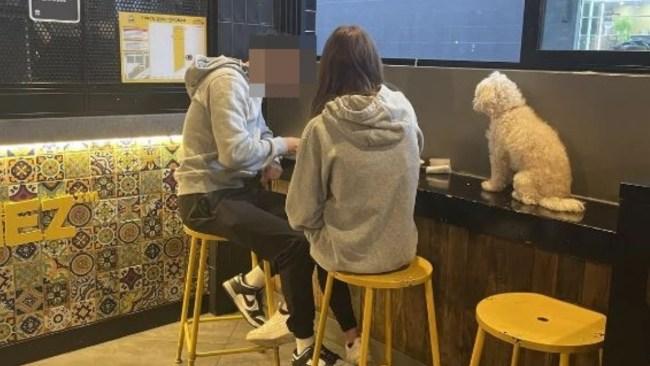 The couple caught some heat online for having their dog sit on the fast-food restaurant's bench while they were eating. Picture: Reddit