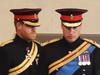 Harry, Wills in unprecedented display
