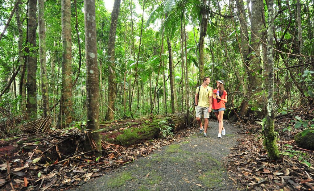 Become a seasoned hiker in seven steps | The Courier Mail