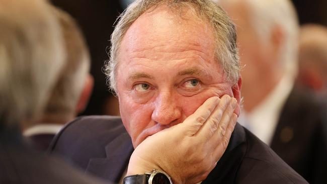 Barnaby Joyce said it was “common knowledge that in the past the Prime Minister and I had not always seen eye-to-eye” after the text leaked. Picture: NCA NewsWire / Dan Peled