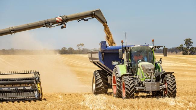 Harvesting wheat at Neilborough. Picture: Zoe Phillips