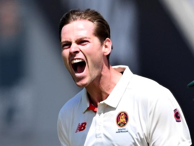 HOBART, AUSTRALIA - DECEMBER 09: Liam Scott of the Redbacks celebrates the wicket of Jake Doran of the Tigers during the Sheffield Shield match between Tasmania and South Australia at Blundstone Arena, on December 09, 2024, in Hobart, Australia. (Photo by Steve Bell/Getty Images)