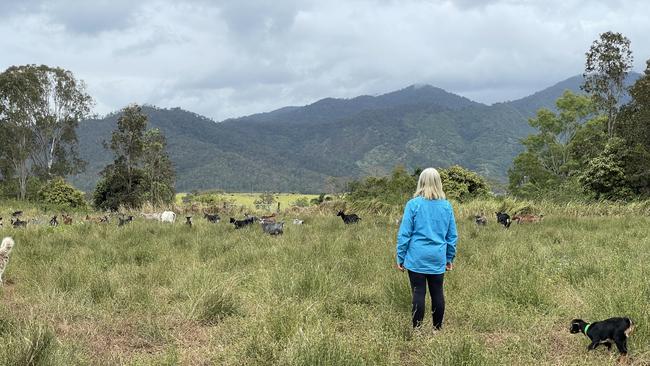 Louise and her two large dogs tend to the flock and keep them safe from dingos. Photo: Fergus Gregg