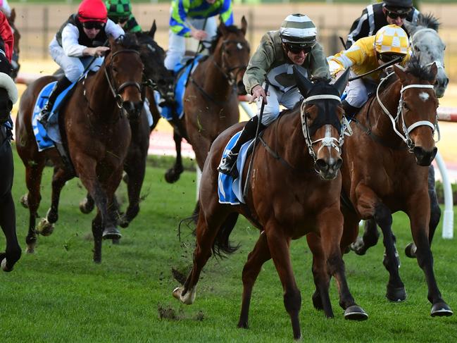 Spanish Tides inches to the front at Moonee Valley. Picture: Getty Images