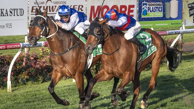 Seat of Power (left) wins the Toowoomba Cup ridden by James Orman edging out Aussie Nugget and Ben Thompson. Picture: Nev Madsen.