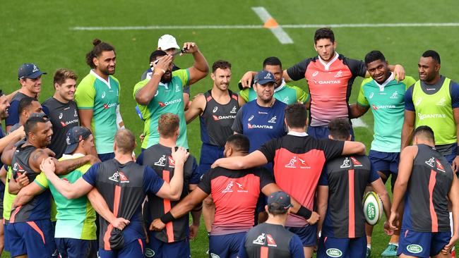 Michael Cheika will torture his players in New Caledonia. Picture: AAP