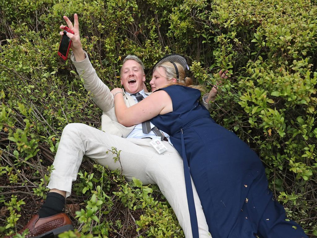 No garden is safe. Picture: Scott Barbour/Getty Images