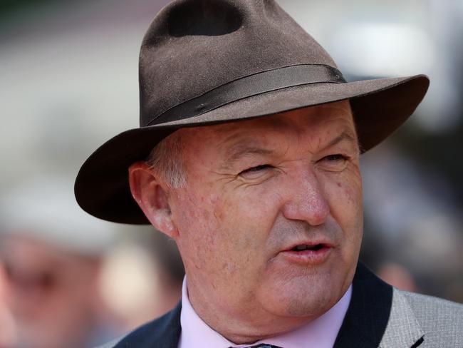 MELBOURNE, AUSTRALIA - NOVEMBER 30: Trainer David Hayes after Westbrook Park won Race 2, Carnsworth Noble Park Handicap during Melbourne Racing at Moonee Valley Racecourse on November 30, 2019 in Melbourne, Australia. (Photo by George Salpigtidis/Getty Images)