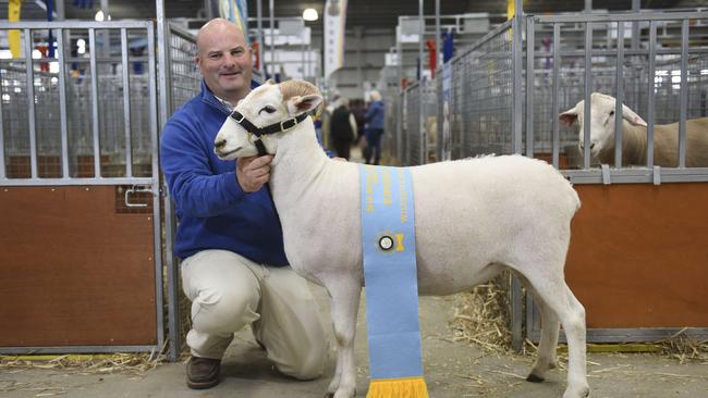 Jason O'Loghlin, Deniliquin, NSW, with his grand champion Wilshire Horn ewe which was judged the supreme exhibit of Wiltshire Horns. Picture: Dannika Bonser