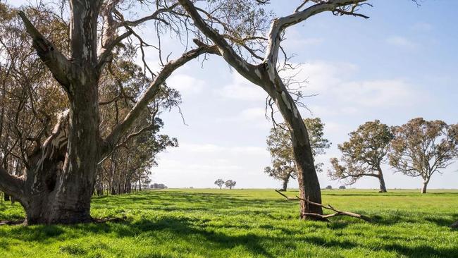 Money makers: Two farms in South Australia have sold for more than $8 million combined.