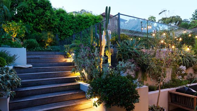 Residential garden in Maroubra, Sydney. Picture: Nick Bowers