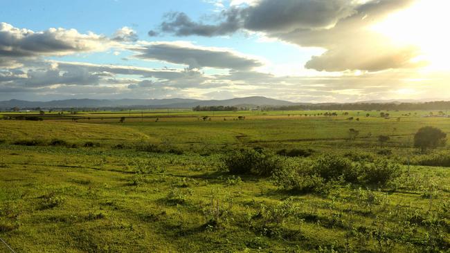 The cane lands in the northern Gold Coast. Picture Mike Batterham.