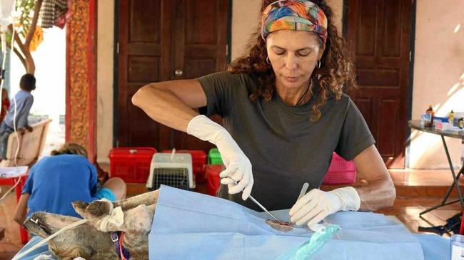 MAKING A CHANGE: Veterinarian Olivia Pozzan operating on a stray dog during her trip to Cambodia. Picture: Olivia Pozzan