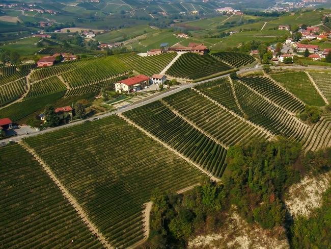 EMBARGO FOR TWAM, 12 APRIL 2025. FEE MAY APPLY. Rocche di Castiglione, Giovanni Sordo Barolo.  Photo: Supplied