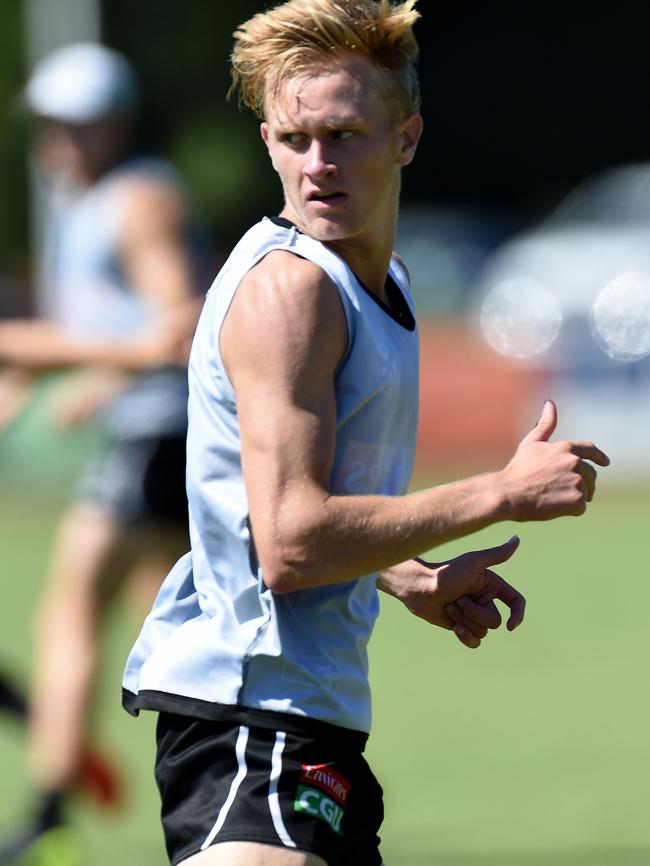 Jaidyn Stephenson is favourite for the Rising Star Award.