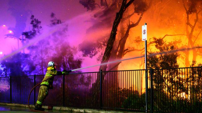 A Peregian Beach photographer snapped the incredible efforts of firefighters to save property. Photo: Wavell Bush Photography