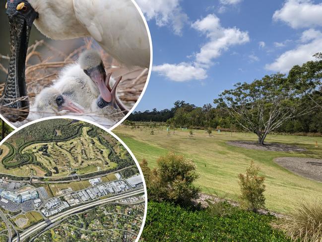 The hidden park in heart of major Coast suburb