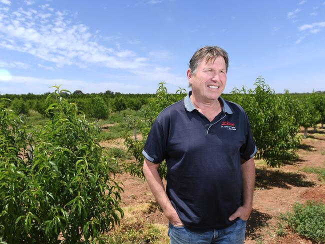 FLOW-ON EFFECT: Irrigator Michael Trautwein is likely to feel the impact on his Riverland property near Renmark. Picture NAOMI JELLICOE