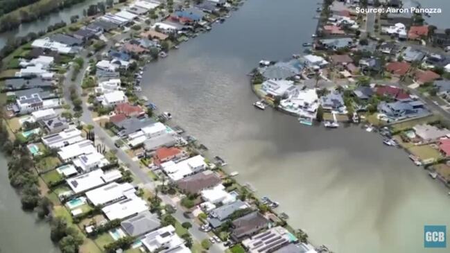 Gold Coast fish kill