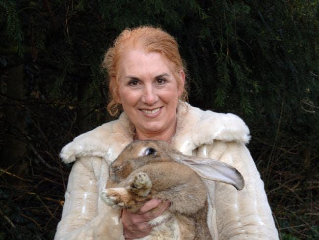 Breeder Annette Edwards with her rabbit.