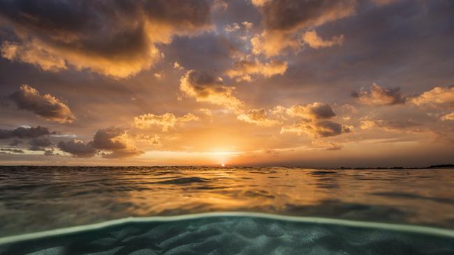 Gold Coast photographer Sean Scott has travelled the globe to capture wildlife, sunsets and sunrises and some of the most picturesque locations.