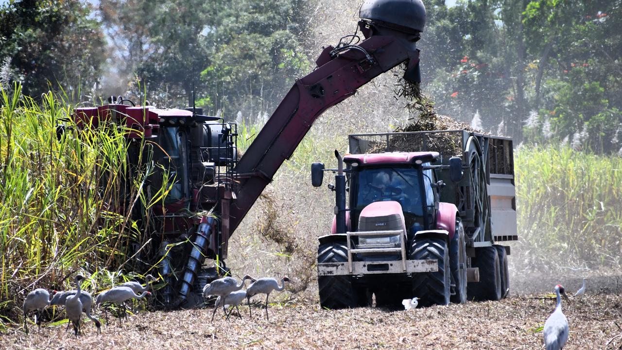 The Herbert River sugar-cane harvest at Toobanna south of Ingham, Hinchinbrook Shire. Please attribute. Picture: Cameron Bates