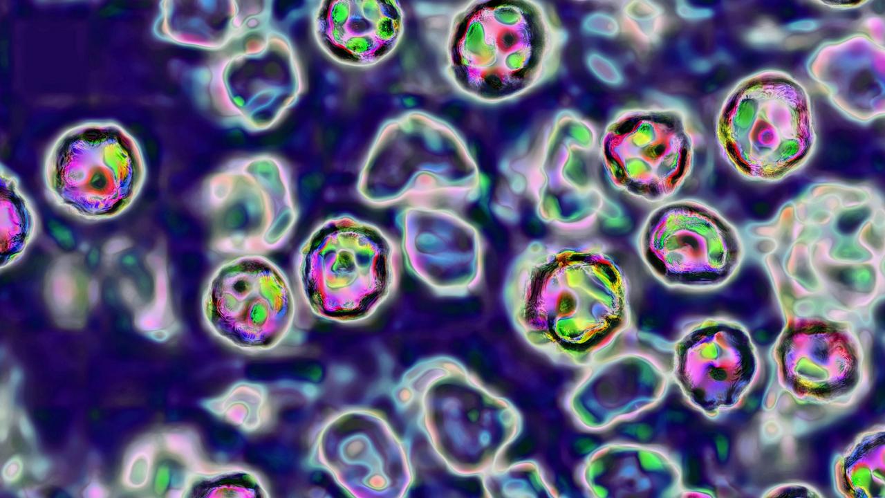 Fresh warning as dangerous virus spreads