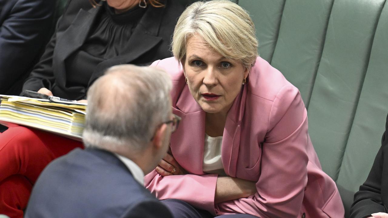 Environment Minister Tanya Plibersek recently ordered the EDO to lift its game after a damning Federal Court ruling. Picture: NewsWire / Martin Ollman