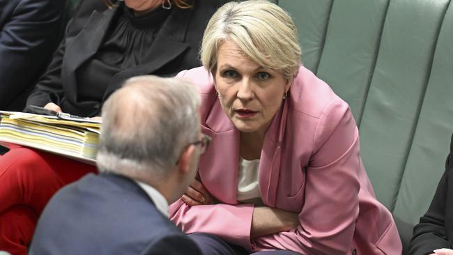 Environment Minister Tanya Plibersek recently ordered the EDO to lift its game after a damning Federal Court ruling. Picture: NewsWire / Martin Ollman