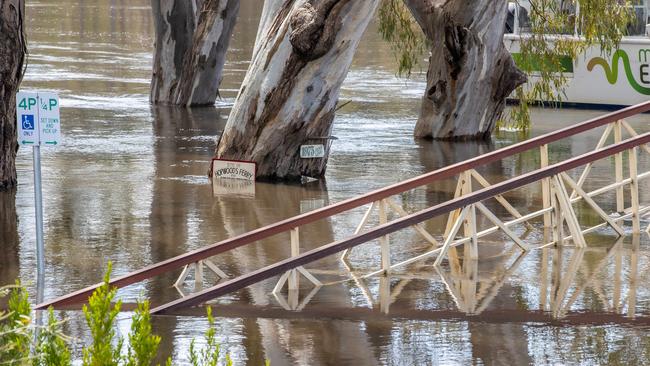 The Murray river is expected to peak in the coming days. Picture: Jason Edwards