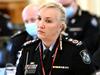 ‘Did she shut her legs on you?’ Top cop grilled at DV inquiry
