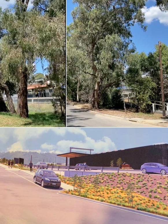 A collage created by Monty Train Station Group shows the impact of the vegetation removal at the site of the new train station construction on Mayona Rd, with an artist rendering provided by the government showing the final product.