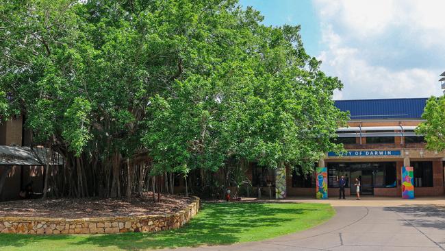 the Tree of Knowledge, <i>galamarrma</i>, at the City of Darwin’s Civic Centre. Picture: Pema Tamang Pakhrin