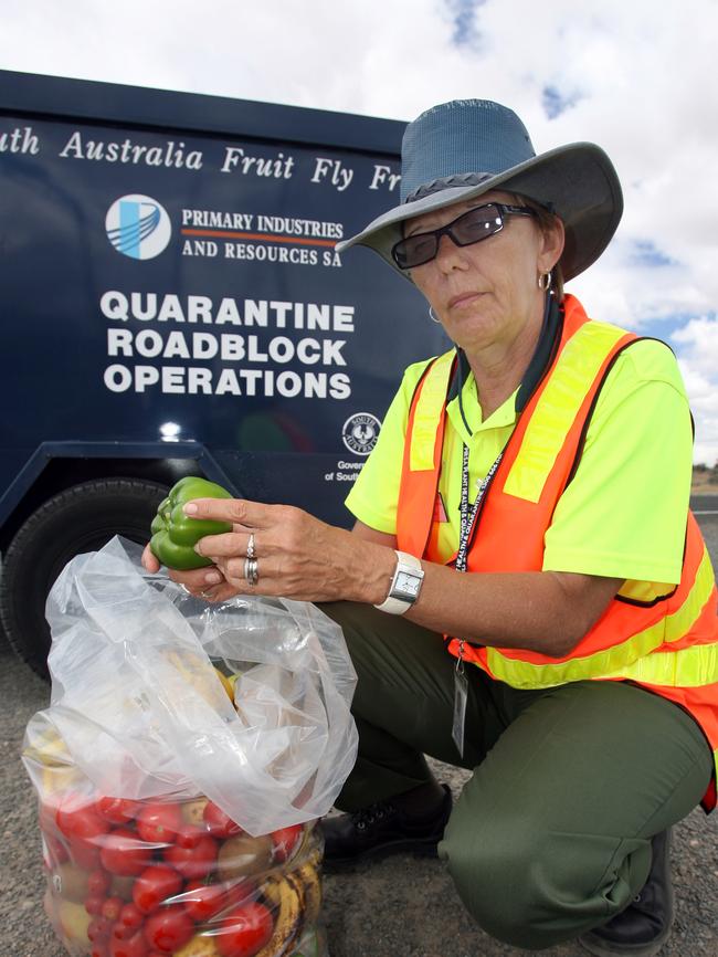 Quarantine officer Jolanda Edwards examines confiscated fruit at a SA checkpoint.