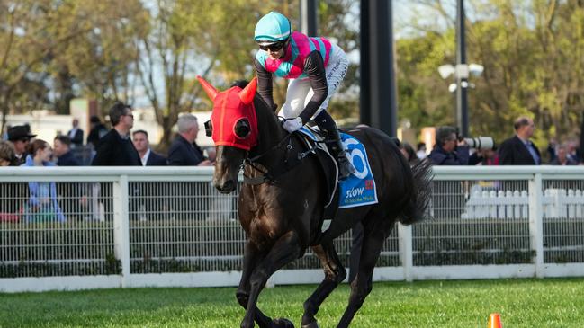 Antino must jump cleanly to be a threat in the Group 1 Makybe Diva Stakes. Picture: Racing Photos via Getty Images