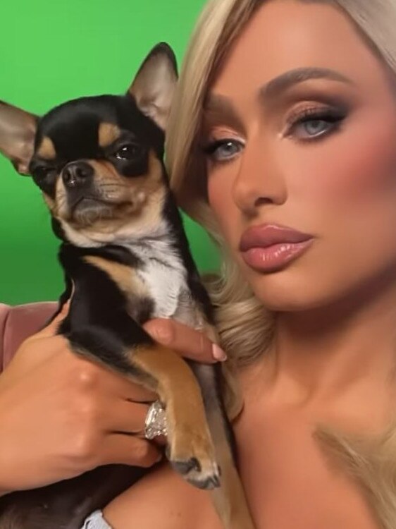 The 41-year-old has recently lost her beloved dog Diamond Baby. Picture: Instagram/ParisHilton