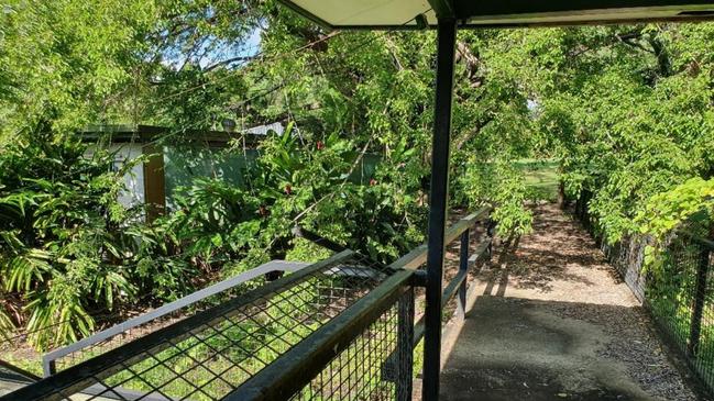 The former zoo is now an overgrown mess with derelict buildings and former animal exhibits falling apart. PICTURE: SUPPLIED