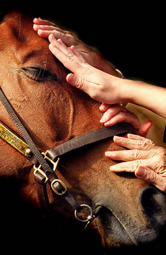 Champion racehorse Sunline days after her 2000 Cox Plate victory. Picture: Collee Petch