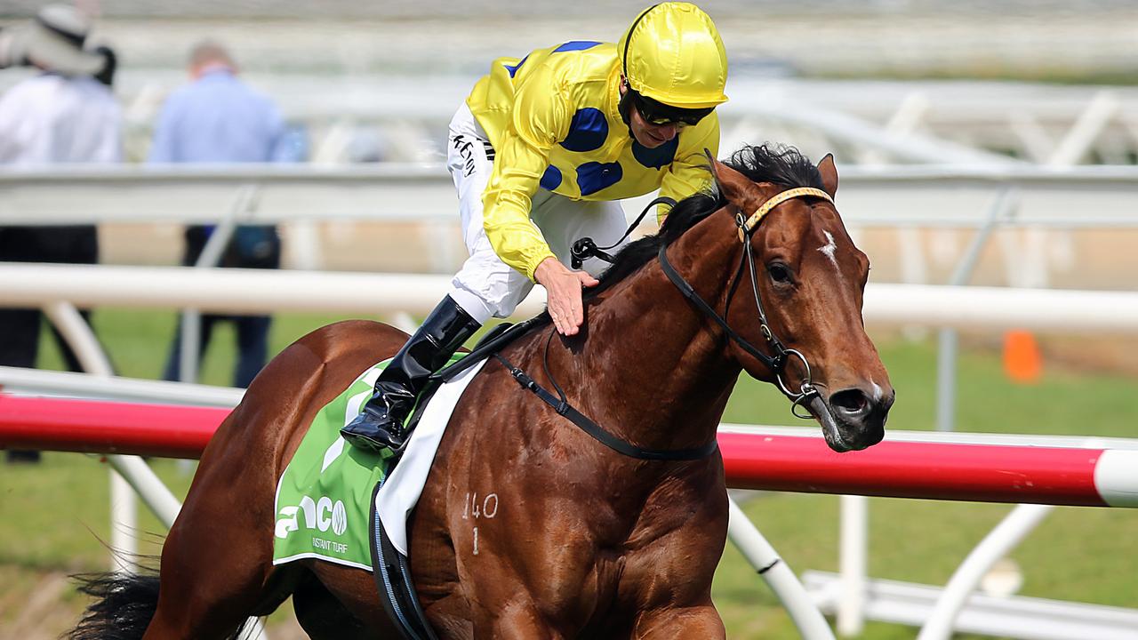 Caulfield Guineas Day 2014