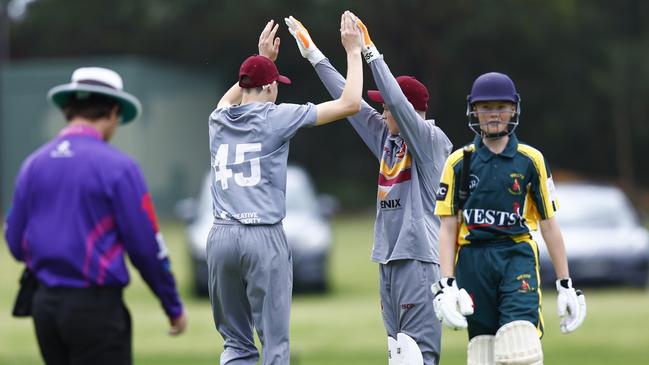 Stockton celebrate a wicket. Picture: Michael Gorton